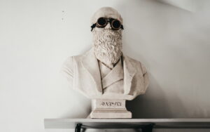 Charles Darwin Bust