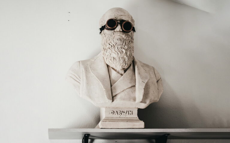 Charles Darwin Bust