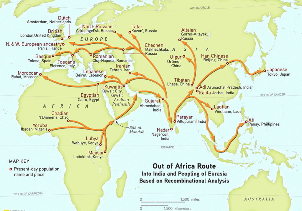 Modern human migration from Africa to Eurasia.